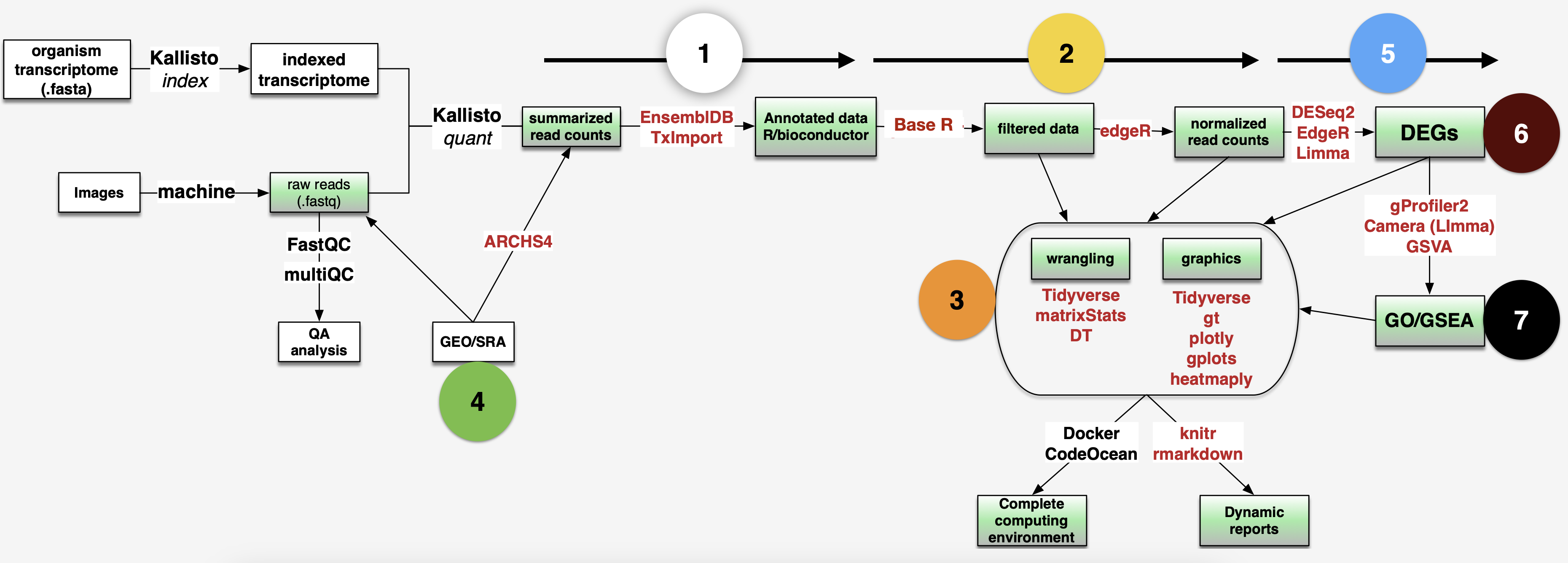 General workflow for RNAseq data analysis with R General workflow for RNAseq data analysis with R