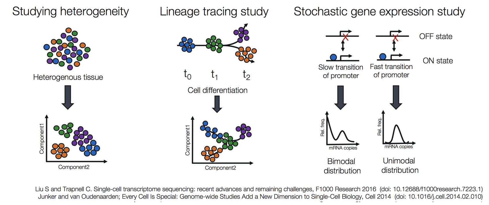 Learning scRNA-seq data analysis using Seurat package