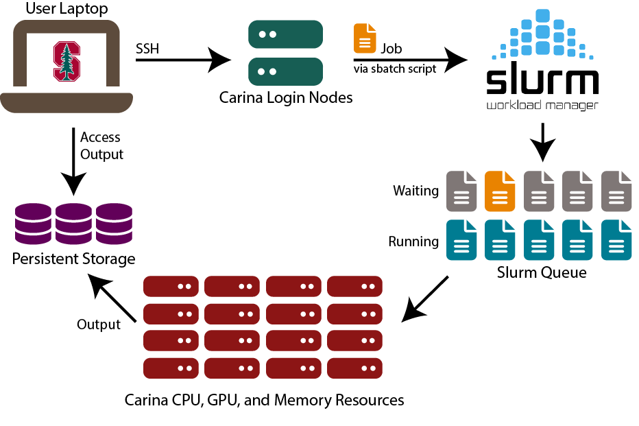 Commonly Used SLURM Commands in HPC Commonly Used SLURM Commands in HPC